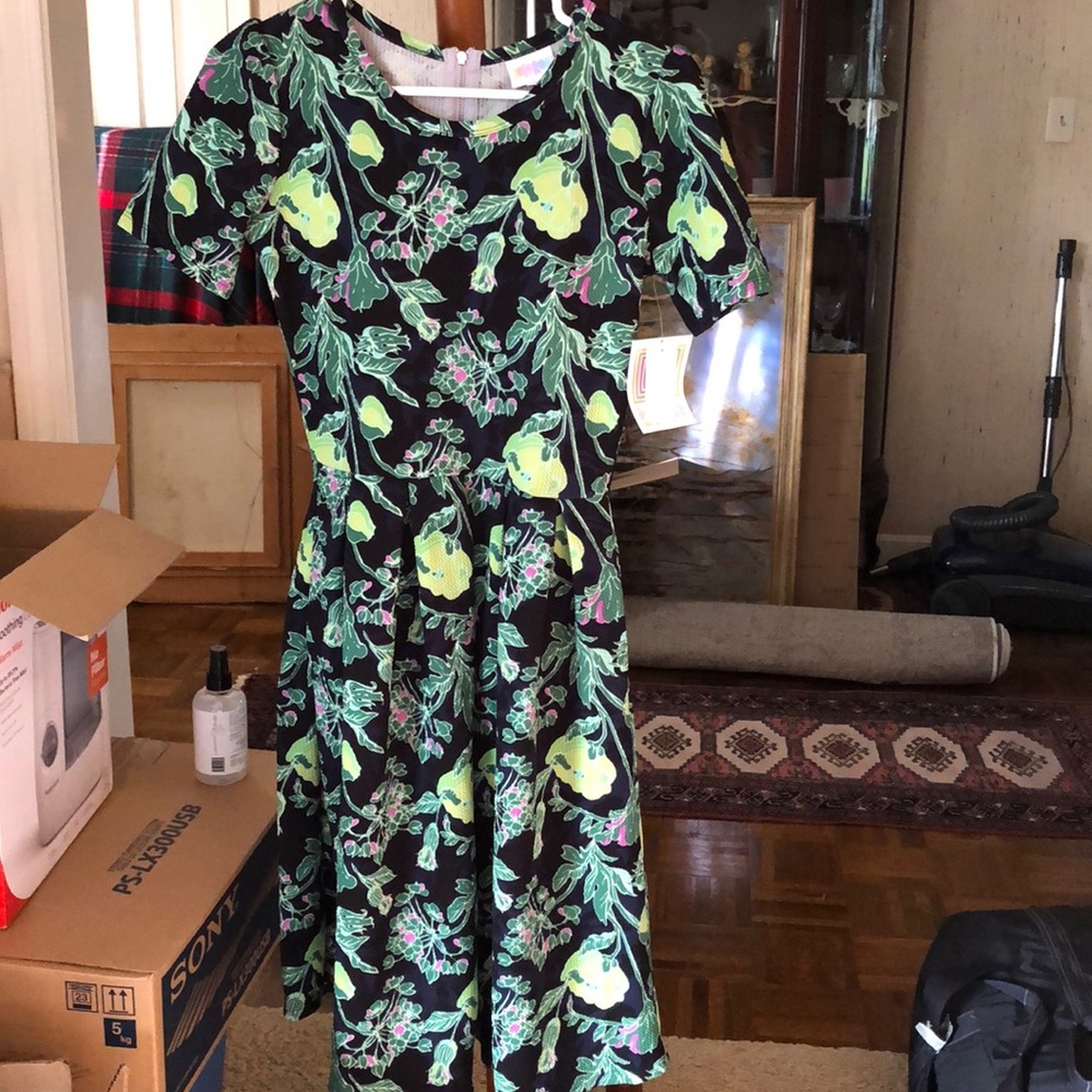 Lularoe Amelia